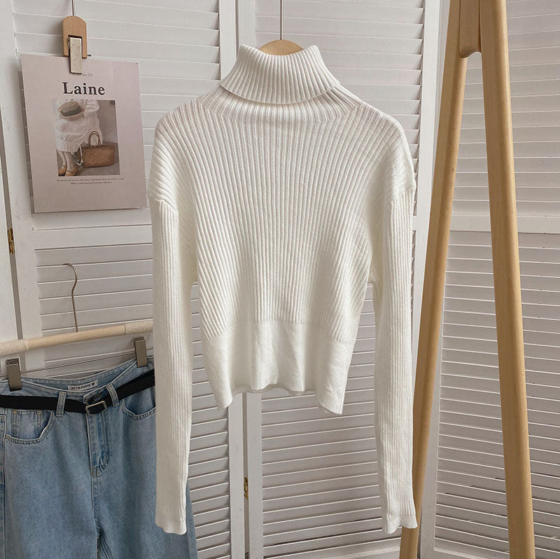 Chunky Ribbed Turtleneck Sweater (8 Colors)