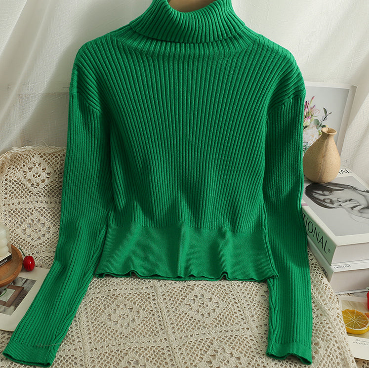 Chunky Ribbed Turtleneck Sweater (8 Colors)