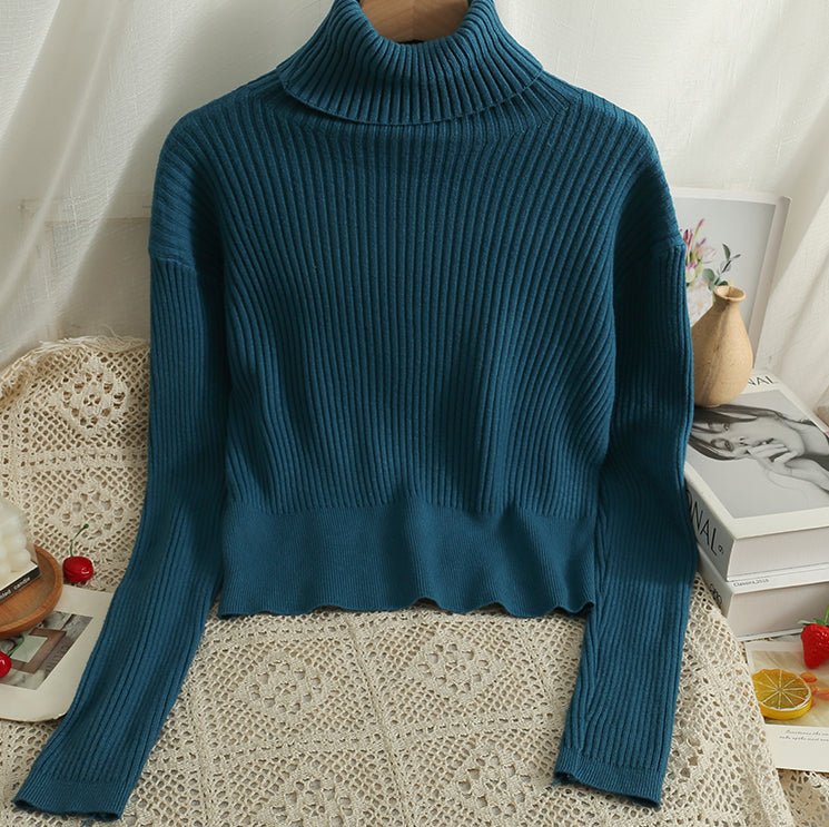 Chunky Ribbed Turtleneck Sweater (8 Colors)