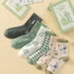Peter Rabbit Socks Gift Box (Green)